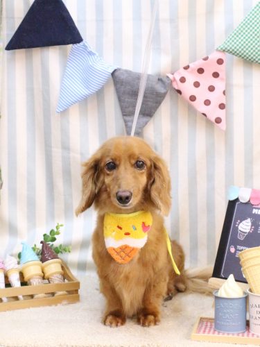 20250525しろくん